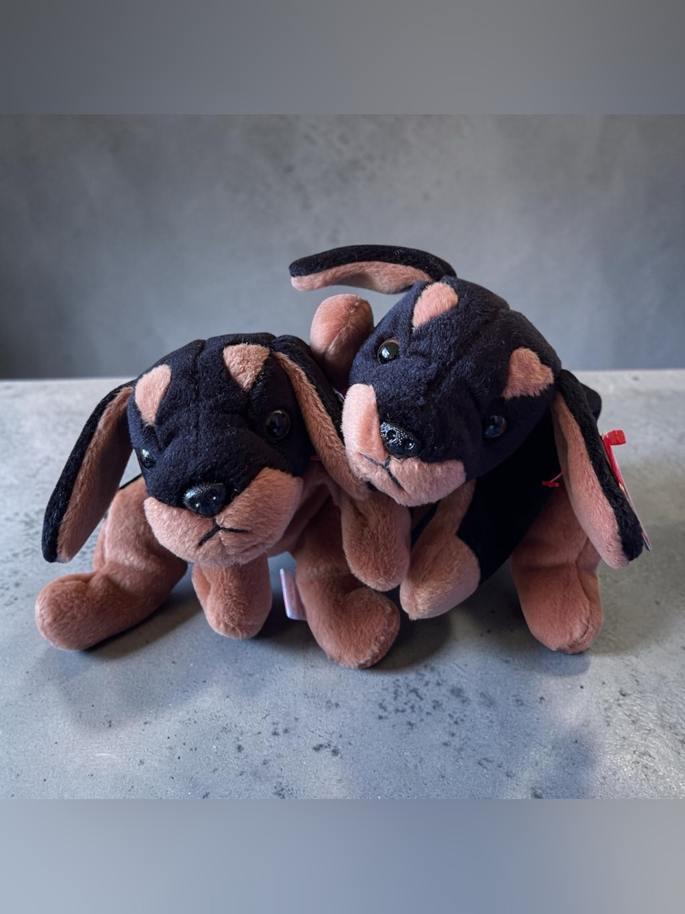 Two Beanie Babies